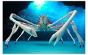 The Diversity of Life on Earth - Crab 2 Image_8