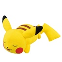 Ichiban Kuji - Pokemon Anytime - Calm Night (Full ctn of 90 tickets) Image_3
