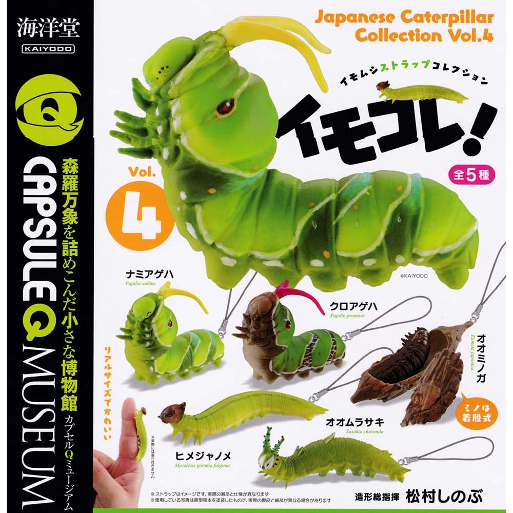 CapsuleQ Museum - Japanese Caterpillar Collection 4 Image_1