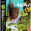 CapsuleQ Museum - Japanese Caterpillar Collection 4 Image_2