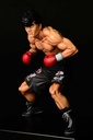 (PO) Hajime no Ippo - Takamura Mamoru Fighting Pose Image_5