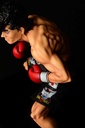 (PO) Hajime no Ippo - Takamura Mamoru Fighting Pose Image_11