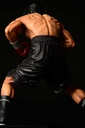 (PO) Hajime no Ippo - Takamura Mamoru Fighting Pose Image_14