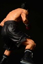 (PO) Hajime no Ippo - Takamura Mamoru Fighting Pose Image_18