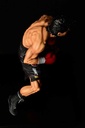 (PO) Hajime no Ippo - Takamura Mamoru Fighting Pose Image_20