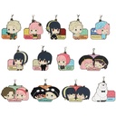Ichiban Kuji - SPY x FAMILY - Lovely Ordinary Days (Full ctn of 80 tickets) Image_8