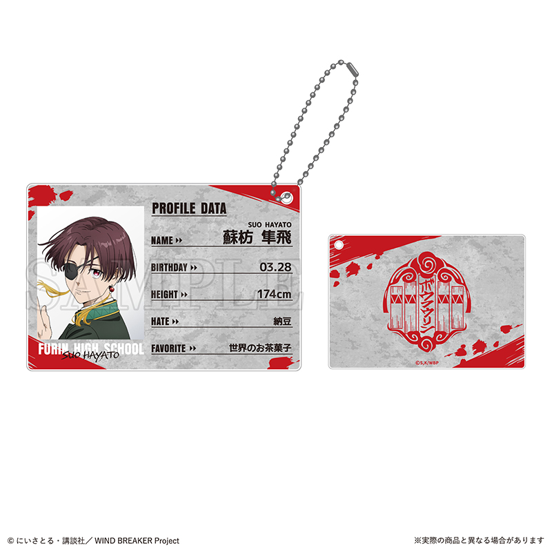 Wind Breaker Trading Profile Card Key Chain [BOX] Image_6