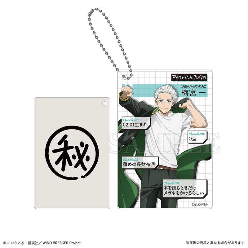 Wind Breaker Trading Profile Card Key Chain [BOX] Image_8