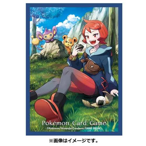 Pokemon Card Game Deck Shield - Hinatsu Image_2