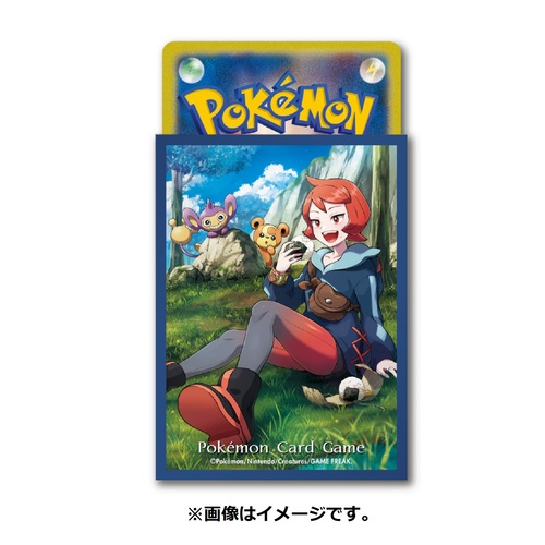 Pokemon Card Game Deck Shield - Hinatsu Image_3
