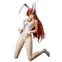 (PO) B-Style Code Geass: Lelouch of the Rebellion - Shirley Fenette Bare Leg Bunny Ver. Image_2