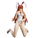 (PO) B-Style Code Geass: Lelouch of the Rebellion - Shirley Fenette Bare Leg Bunny Ver. Image_6