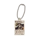 One Piece Wanted Plate Image_5