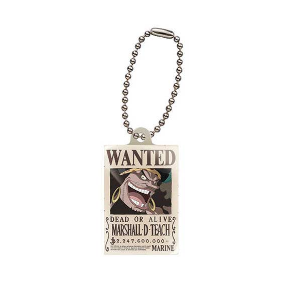 One Piece Wanted Plate Image_8