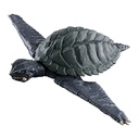 HG Gamera 2 Image_4