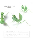 The Diversity of Life on Earth - Mantis 03 Image_7