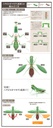 The Diversity of Life on Earth - Mantis 03 Image_10