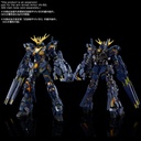 RG 1/144 Gundam UC Expansion Unit Armed Armor VN/BS (P Bandai) Image_10