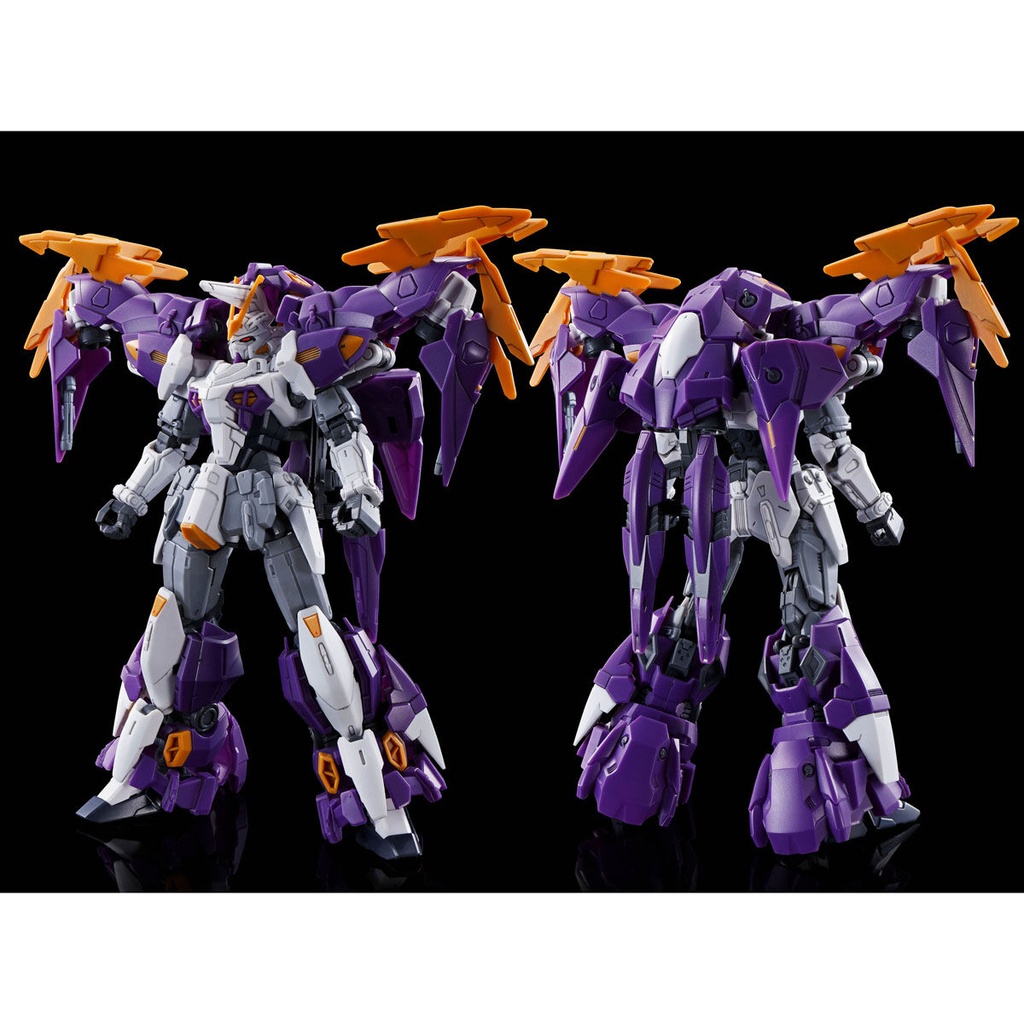 HG Wing Gundam - Gundam Aesculapius (P Bandai) Image_2