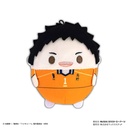 (PO) HQ-39 Haikyu!! Fuwakororin 7 [BOX] Image_4