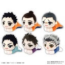 (PO) HQ-40 Haikyu!! Hug x Character Collection 7 [BOX] Image_4
