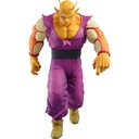 Ichiban Kuji - Dragonball VS Omnibus Beast (Full ctn of 80 tickets) Image_4