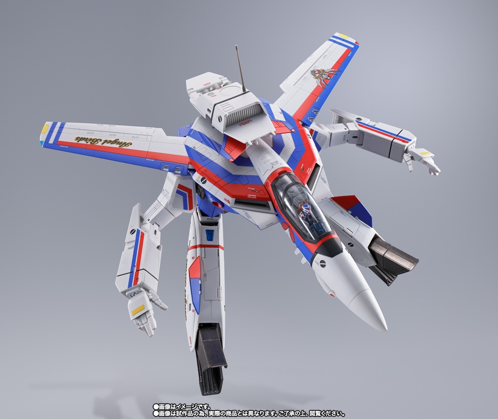 Super Dimension Fortress Macross DX Chogokin VF-1A Valkyrie Angel Birds Image_4