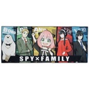 Ichiban Kuji - SPY x FAMILY Mission Start! Ver.1.5 Image_4