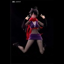 HASUKI pocket art PA002 Female NinJa Hagi Image_5