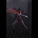 HASUKI pocket art PA002 Female NinJa Hagi Image_8
