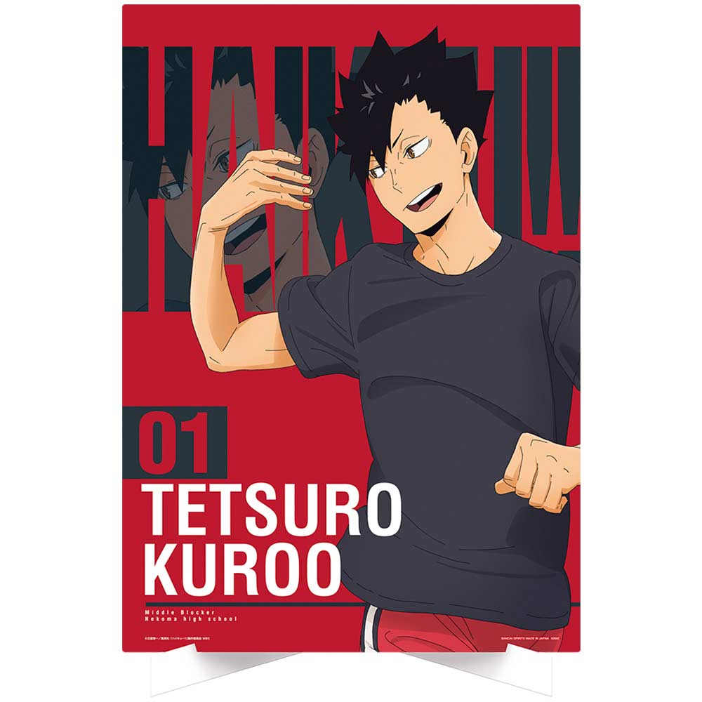 Ichiban Kuji - Haikyu!! - A View of the Top Image_6