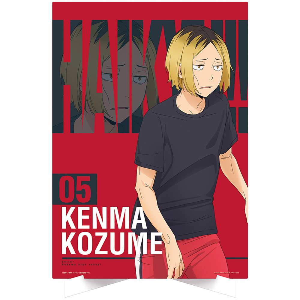 Ichiban Kuji - Haikyu!! - A View of the Top Image_7