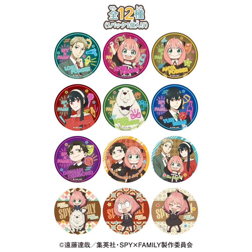 SPY x FAMILY 3D Magnet 2 [BOX] Image_3