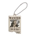 One Piece Wanted Plate Vol4 Image_10