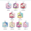 (PO) Purapura Acrylic Key Chain Hololive Hug Meets D Box [BOX] Image_1