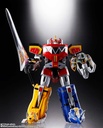 (PO) Soul of Chogokin Kyoryu Sentai Zyuranger GX-72 Megazord & GX-78 Dragonzord Image_7