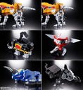 (PO) Soul of Chogokin Kyoryu Sentai Zyuranger GX-72 Megazord & GX-78 Dragonzord Image_18