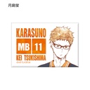 Haikyu! Trading Ani-Art Can Magnet Ver. A [BOX] Image_9