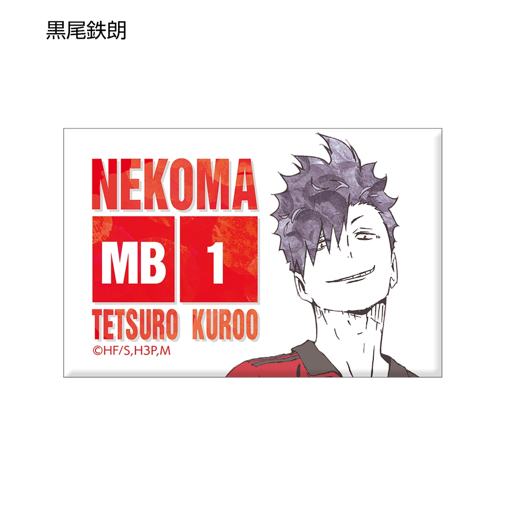 Haikyu! Trading Ani-Art Can Magnet Ver. B [BOX] Image_6