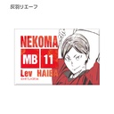 Haikyu! Trading Ani-Art Can Magnet Ver. B [BOX] Image_8