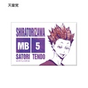 Haikyu! Trading Ani-Art Can Magnet Ver. B [BOX] Image_11