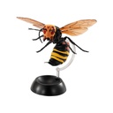 Hornet 2 Image_2