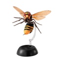 Hornet 2 Image_3