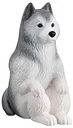 Animals - Waiting 4 Image_4