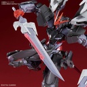 Hi-Resolution Model 1/100 Gundam SEED - Gundam Astray Noire Image_6
