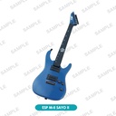 (PO) ESP x BanG Dream! Girls Band Party! Guitar & Bass Collection Figure [BOX] Image_5