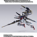Metal Build Gundam Seed MSV - Lighting Striker (P Bandai) Image_5