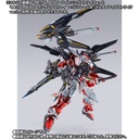 Metal Build Gundam Seed MSV - Lighting Striker (P Bandai) Image_8