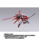 Metal Build Gundam Seed Aile Striker (P Bandai) Image_5