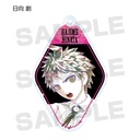 Danganronpa 1-2 Reload Trading Ani-Art Acrylic Key Chain Ver. C [BOX] Image_2